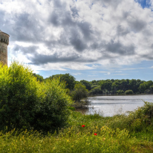 Domain and castle of suscinio