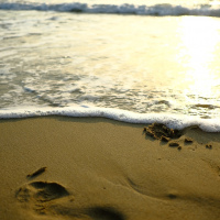 La mer / La plage