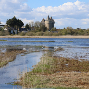 Domain and castle of suscinio